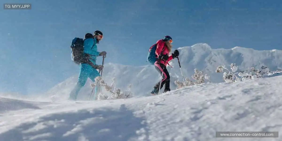 全球赛事，尽在掌握！🌍